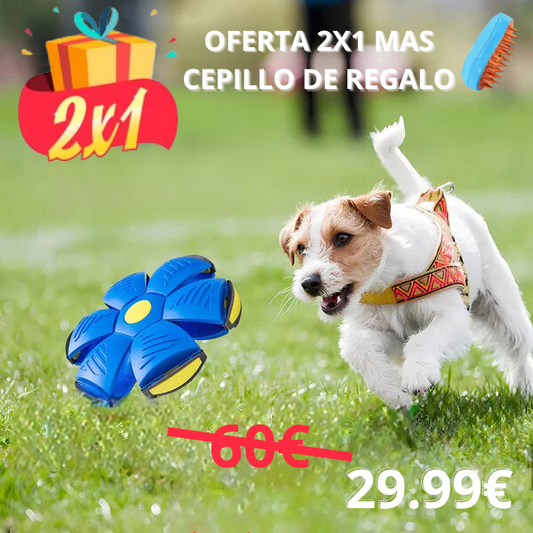 FlyBall™ Pelota Voladora para Perros - (OFERTA 1+1  MÁS CEPILLO VAPORIZADOR)