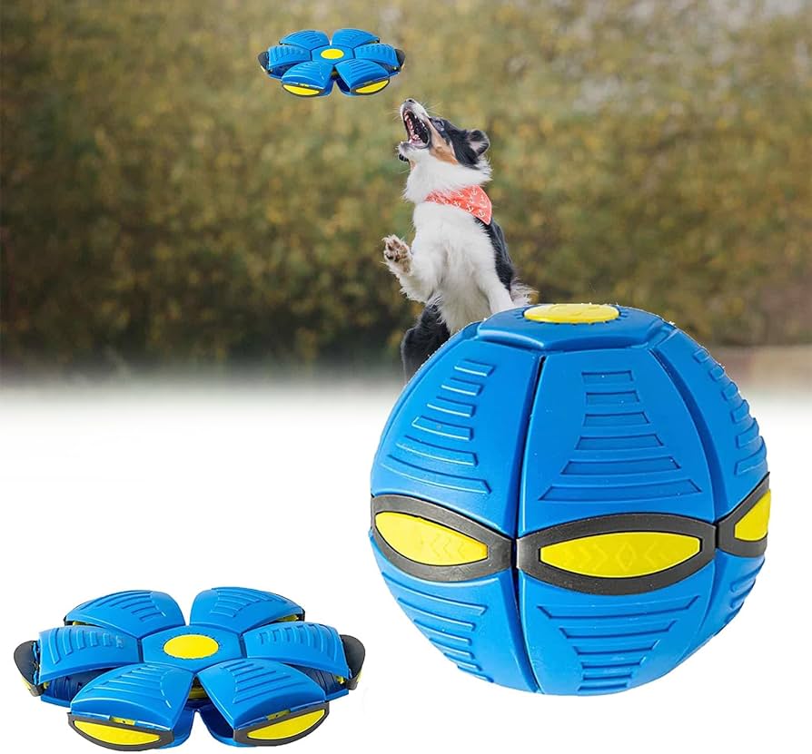 La increíble pelota voladora - PET TOY™ - OFERTA 2X1 - (LIQUIDACIÓN POR CIERRE)