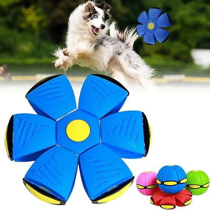 La increíble pelota voladora - PET TOY™ - OFERTA 2X1 - (LIQUIDACIÓN POR CIERRE)